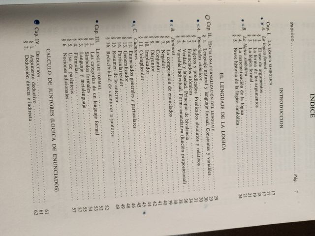 Lógica simbólica (Serie de filosofía y ensay...