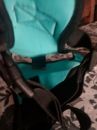 Arnés turquesa para perros