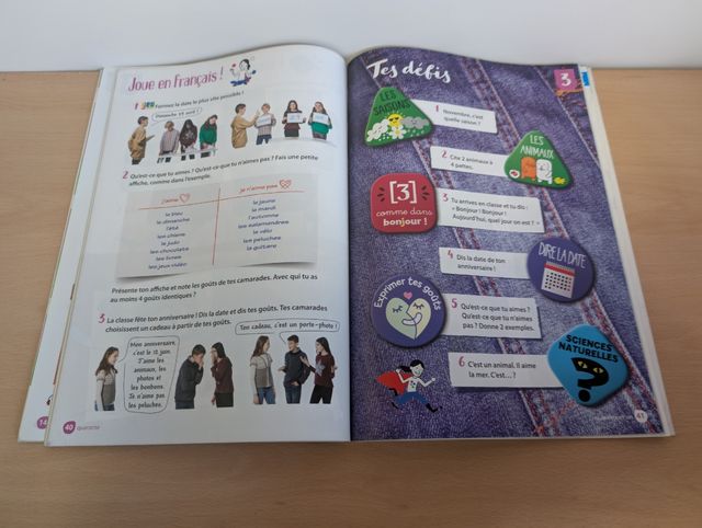 Libro de Francés Santillana Forrado Sin Apuntes