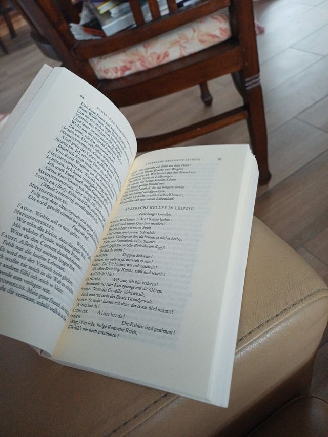 Libro Goethe Faust - Diogenes