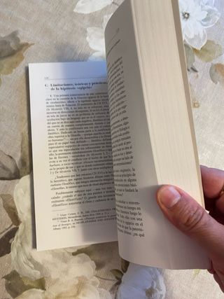 Filosofía y teúrgia una interpretación del herm...