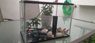 Pecera Acuario de Cristal - Decoración acuario