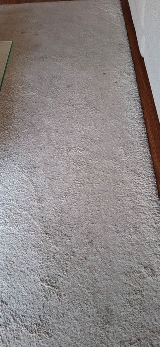 Alfombra Stoense Ikea,pelo corto,hueso,con manchas
