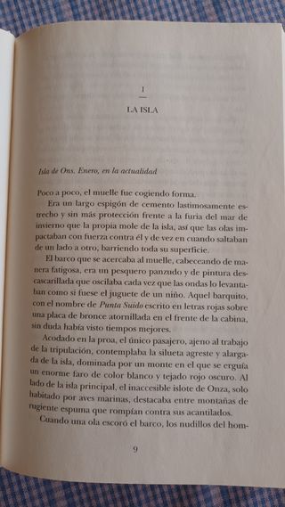 Cuando la tormenta pase: Premio de Novela Ferna...