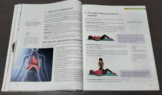 Educación física 2 ESO - En Equipo