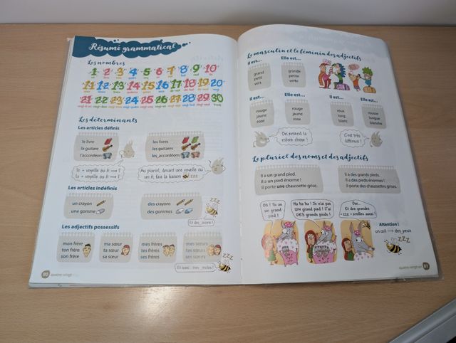 Libro de Francés Santillana Forrado Sin Apuntes