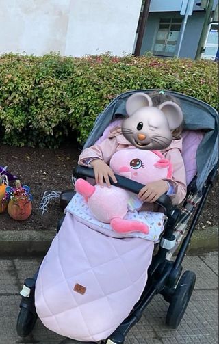 Saco carrito bebé Uzturre rosa