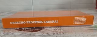 (PERFECTO) DERECHO PROCESAL LABORAL