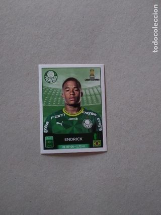 Cromo Endrick Palmeiras Rookie
