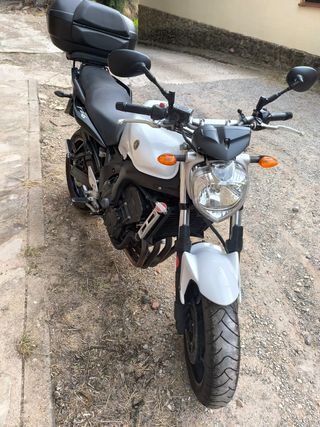 Yamaha FZ6-N (Moto) Blanca