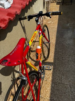 Bicicletta Carnielli