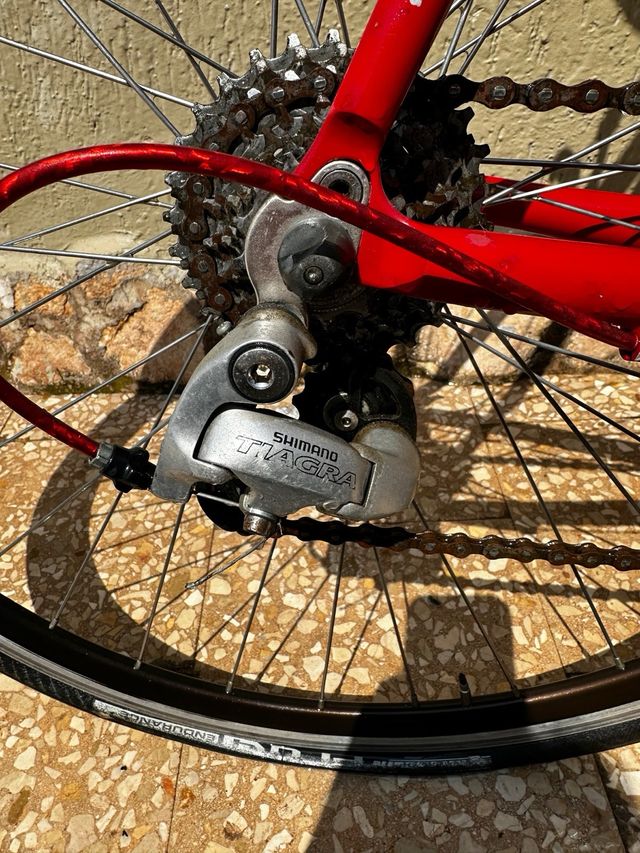 Bicicletta Carnielli