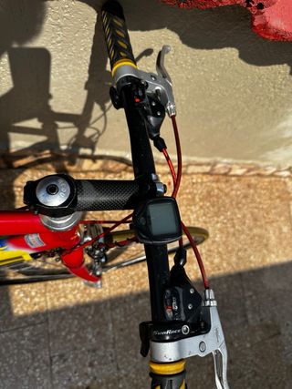 Bicicletta Carnielli