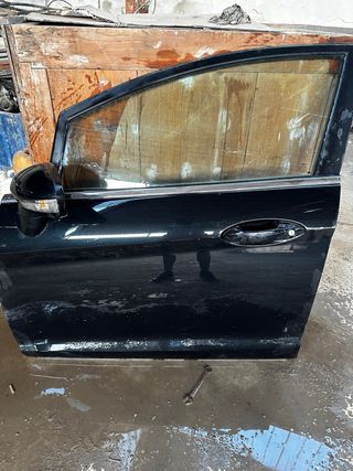 Portiera Ford Fiesta Nera
