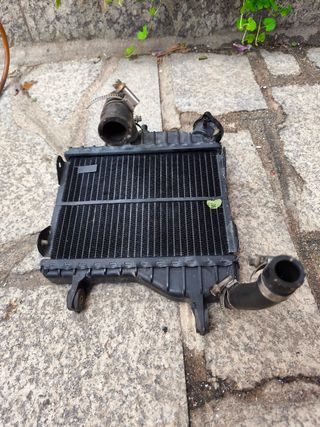 Radiador y bote anticongelante Yamaha TZR 50