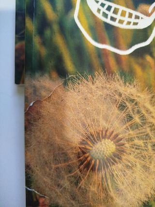 Biología y Geología 3.