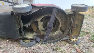 Cortacésped Benassi Europa