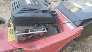 Cortacésped Benassi Europa