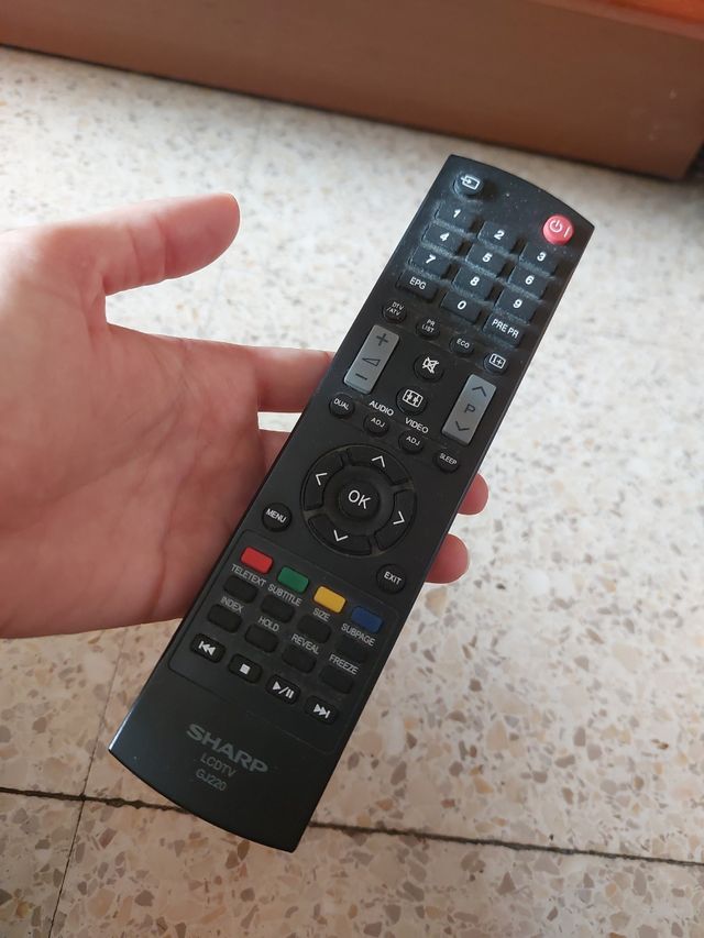 Monitor Sharp Aquos 21" - TV