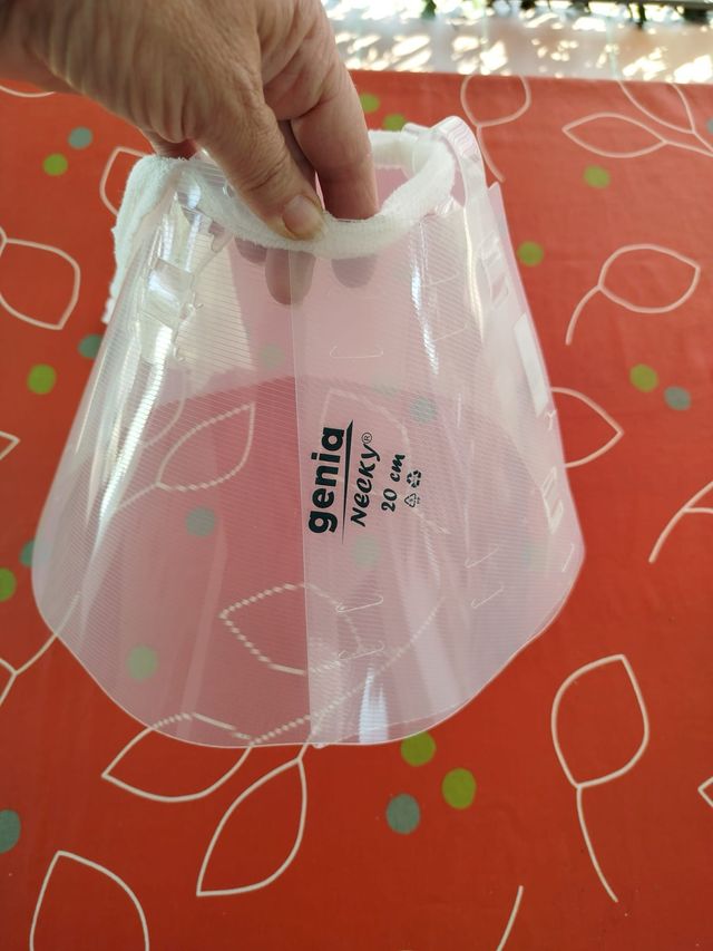 Collar isabelino 20cm