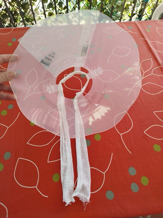 Collar isabelino 20cm