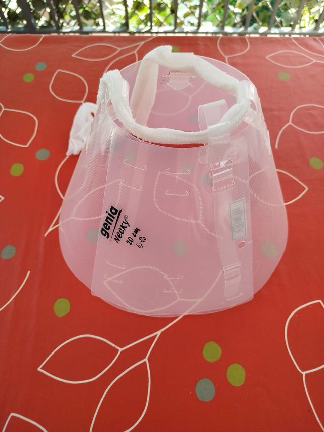 Collar isabelino 20cm