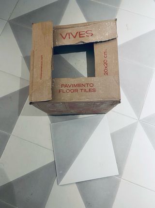 Azulejos vives 20x20 svenska gris
