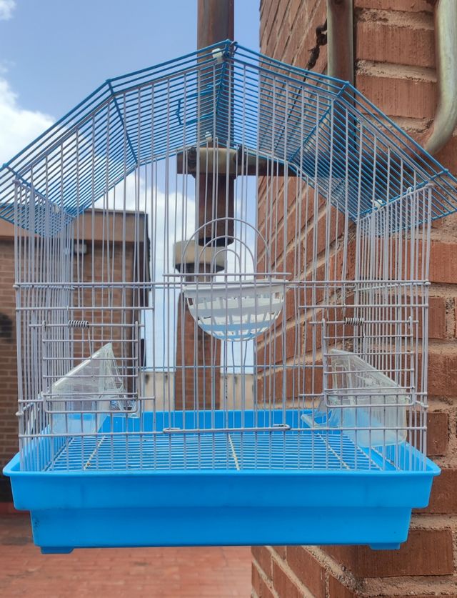 Jaula pajaros azul - Jaula pájaros