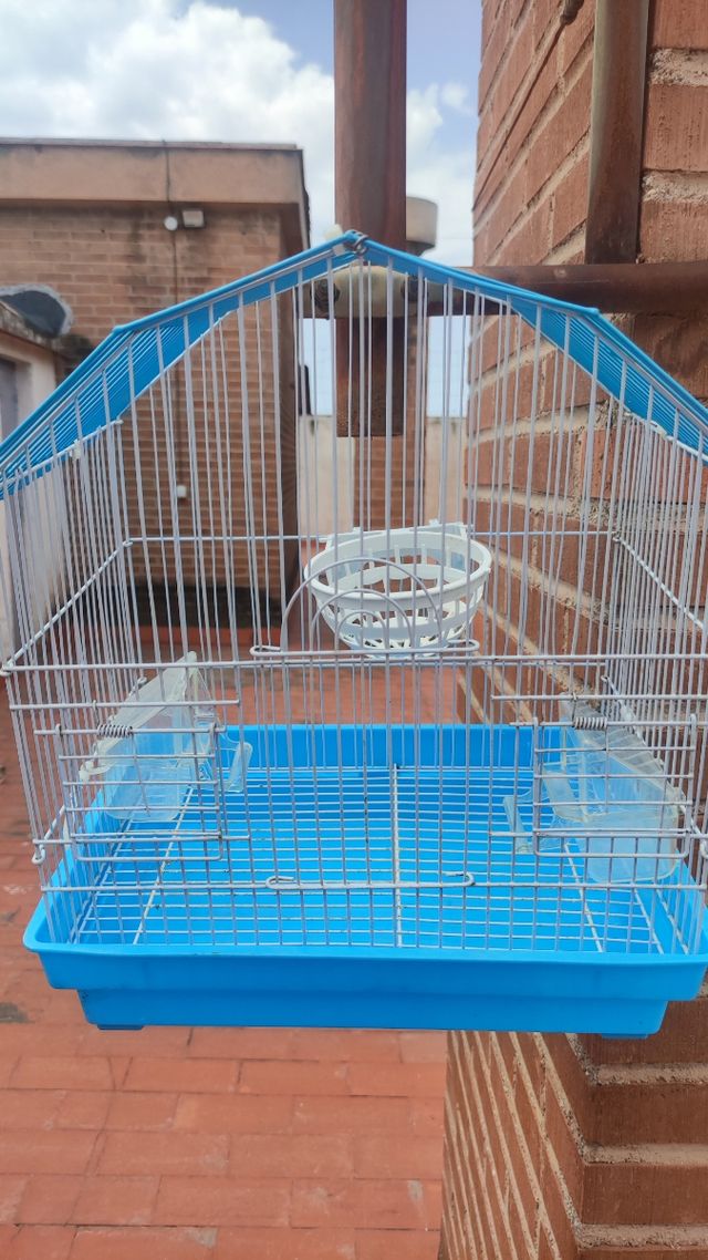 Jaula pajaros azul - Jaula pájaros