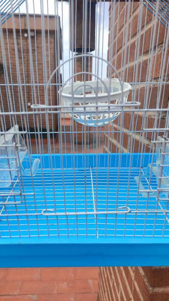 Jaula pajaros azul - Jaula pájaros