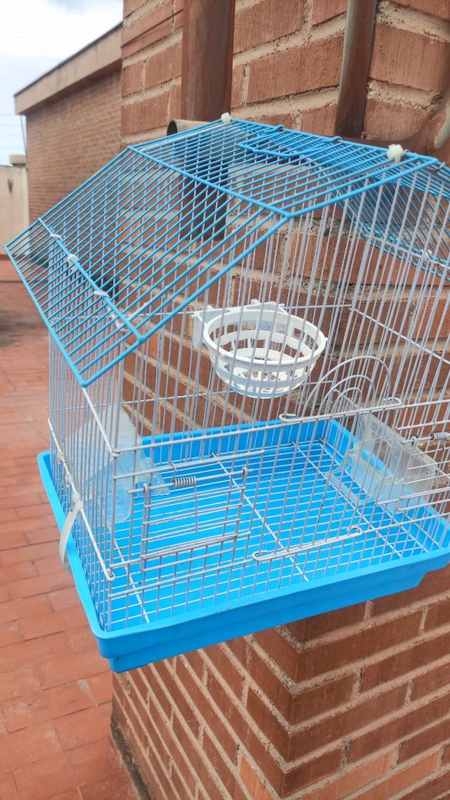 Jaula pajaros azul - Jaula pájaros