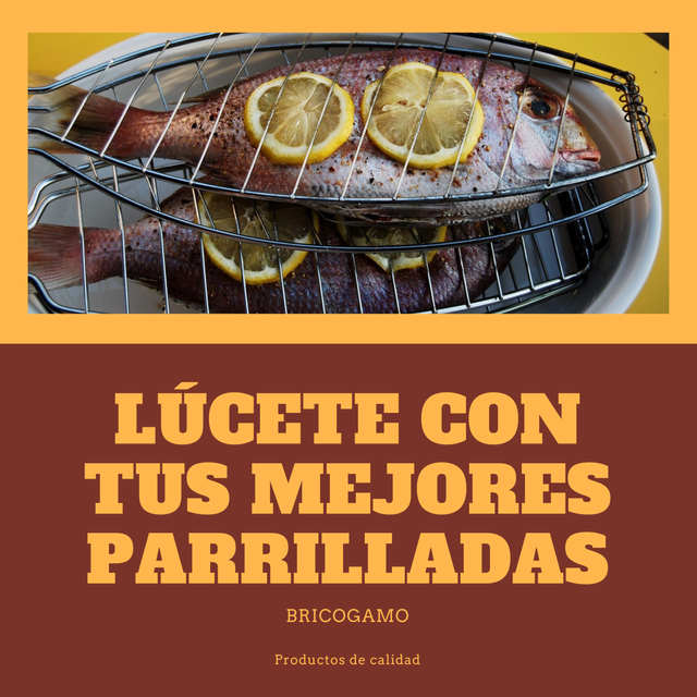 Parrilla pescado 65cm bbq barbacoa