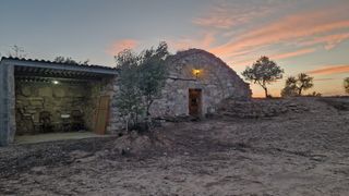 Finca rústica amb cabana de volta i oliveres