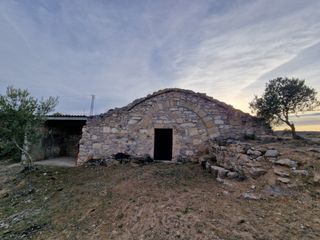 Finca rústica amb cabana de volta i oliveres