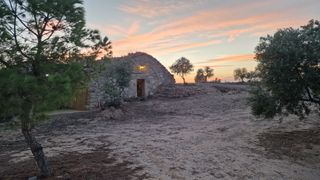 Finca rústica amb cabana de volta i oliveres