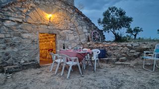 Finca rústica amb cabana de volta i oliveres