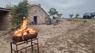 Finca rústica amb cabana de volta i oliveres