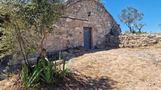 Finca rústica amb cabana de volta i oliveres