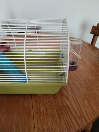 Jaula roedores - Verde y Blanca
