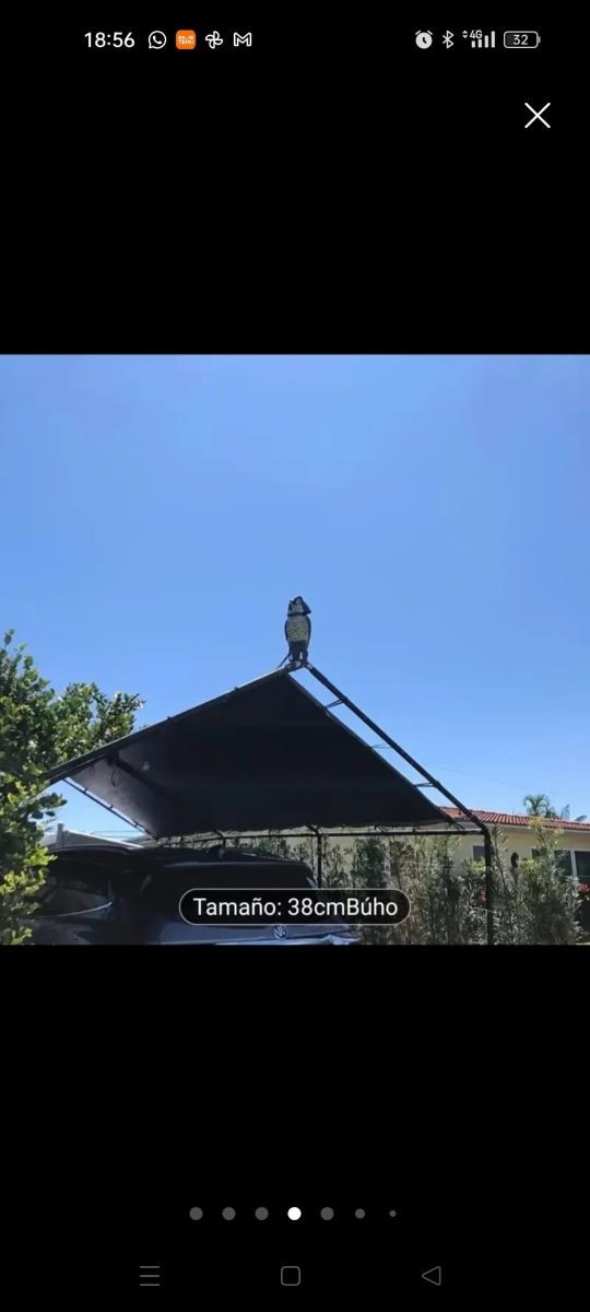 Espantapájaros búho - Anti plagas