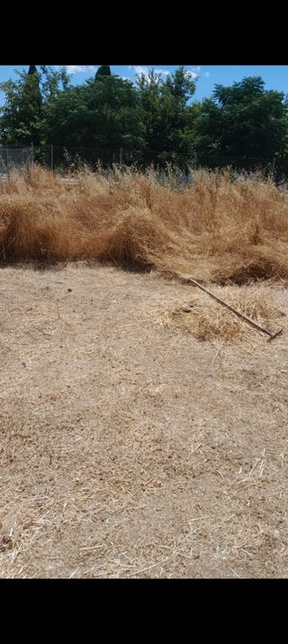 Jardinero Granada	/Mantenimiento