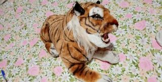 Tigre di peluche