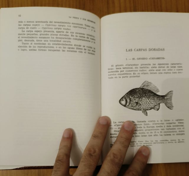 Libro antiguo la pesca y sus secretos