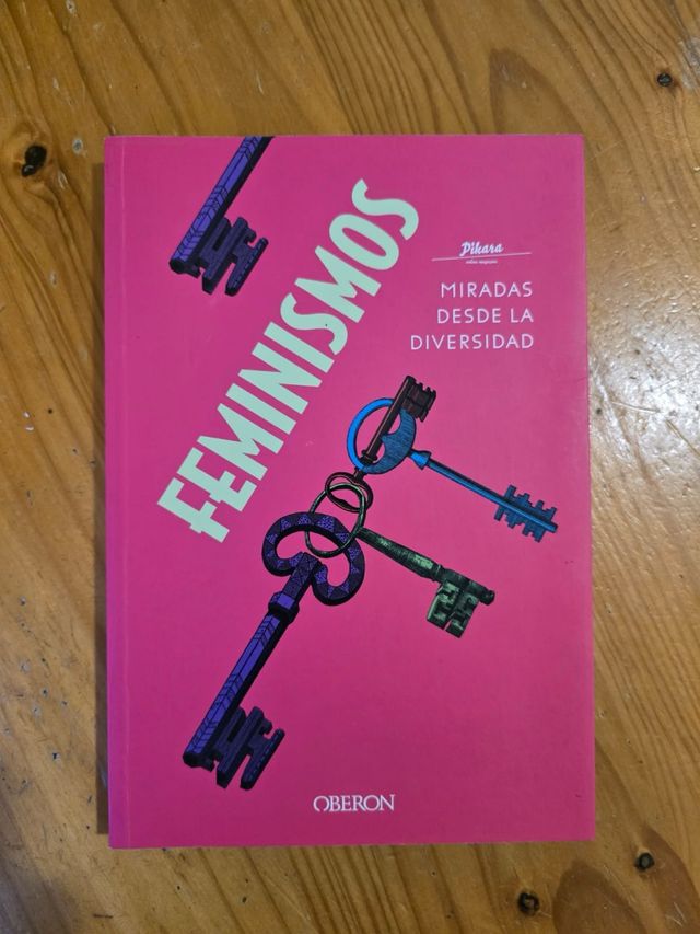 Feminismos. Miradas desde la diversidad