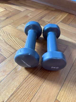 Manubri Schildkröt 2kg