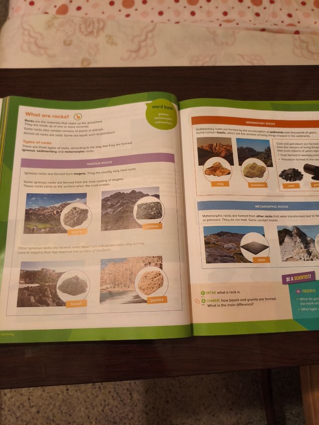 6º NATURAL SCIENCE STD BOOK WM ED23