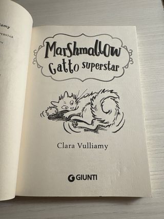 Marshmallow. Gatto superstar