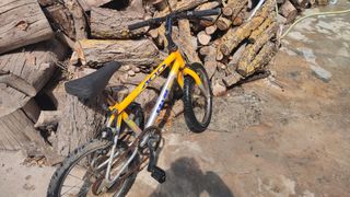 Bicicleta infantil Rima