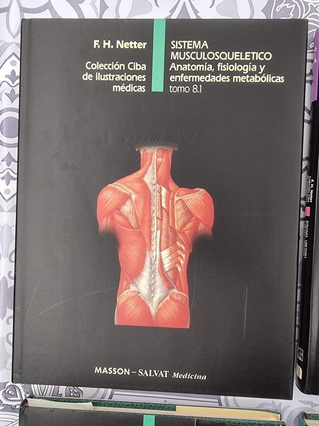 SISTEMA MUSCULOSQUELETICO