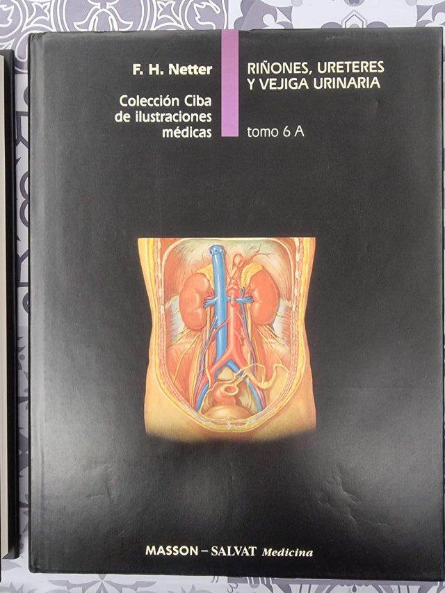 SISTEMA MUSCULOSQUELETICO
